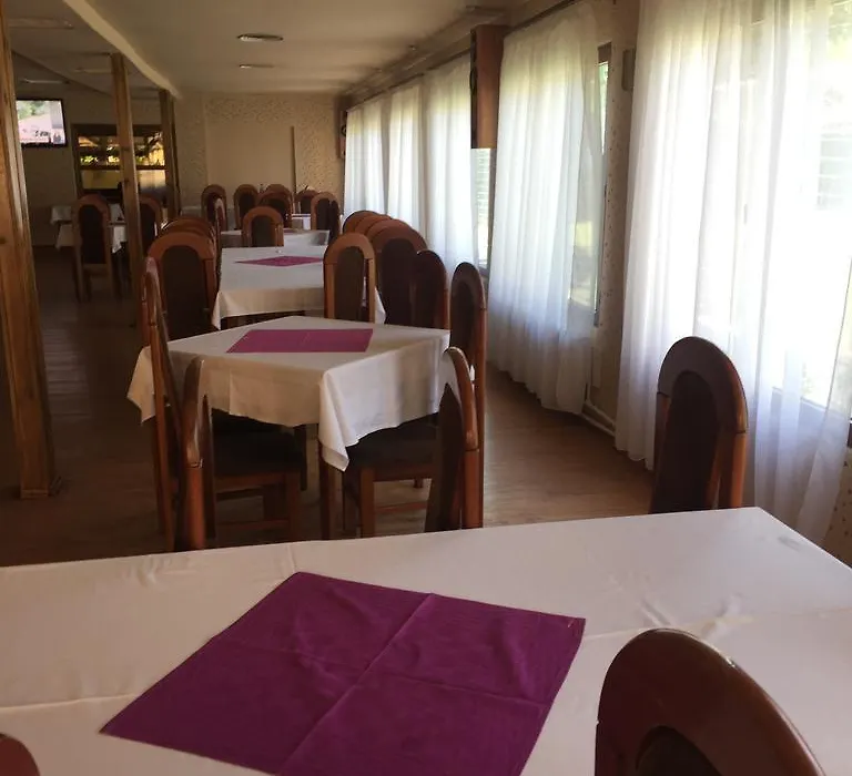 Pensiune Restaurant Casa Sofia-1